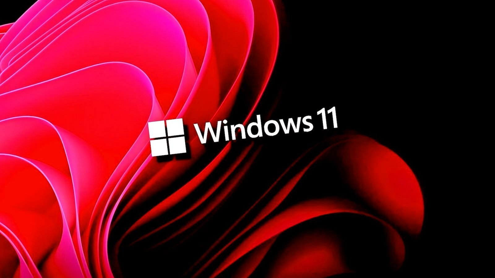 „Windows 11 23H2“ namo ir „Pro“ palaikymo pabaiga per 30 dienų